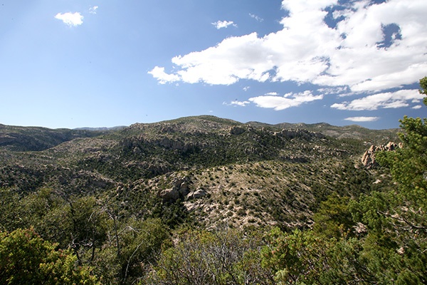 RT5B7181 - California and Arizona 2010