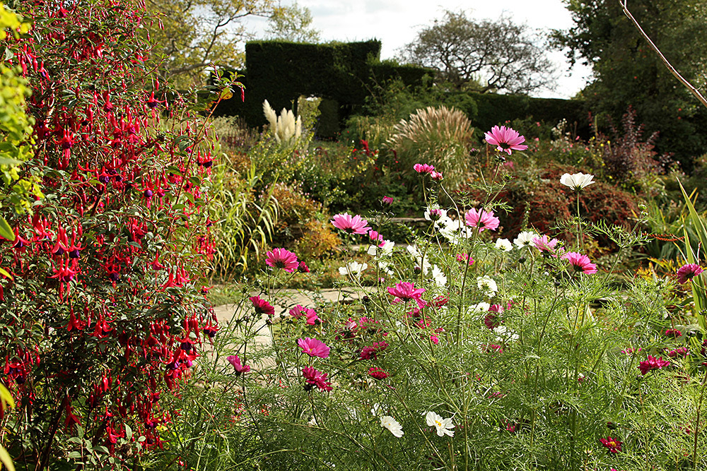 095_IMG_0038 - Great Dixter garden, autumn 2019
