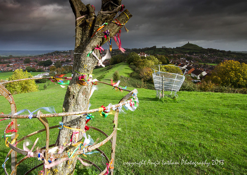 Glastonbury Thorn - Ancient Sites