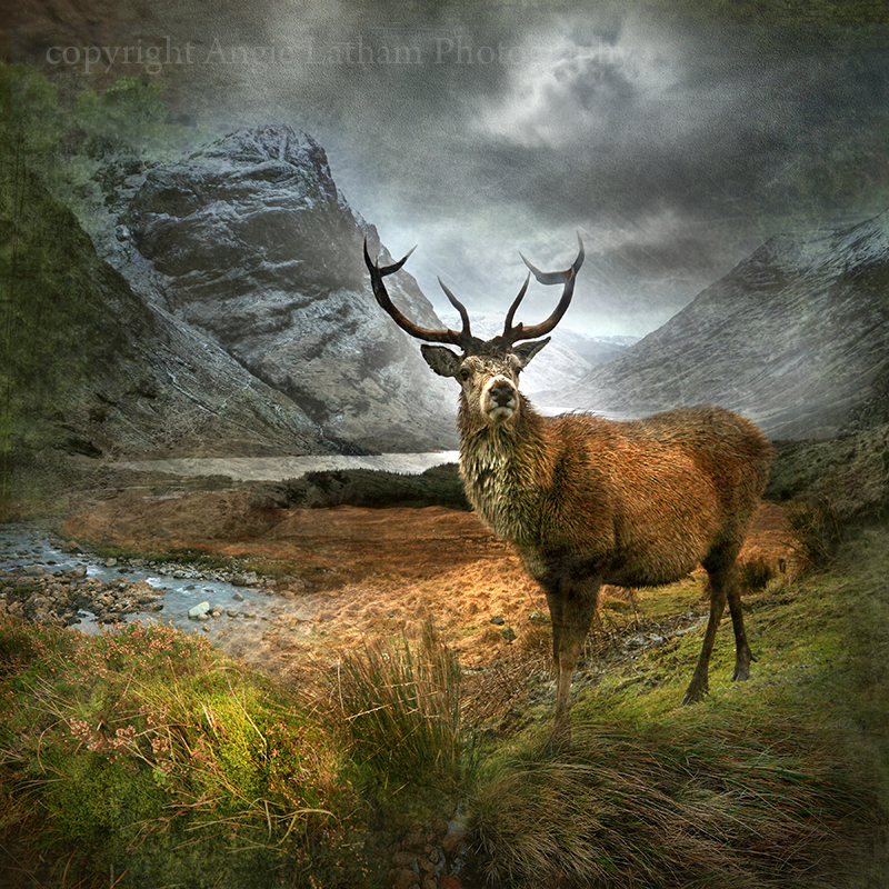 Monarch of the glen glencoe