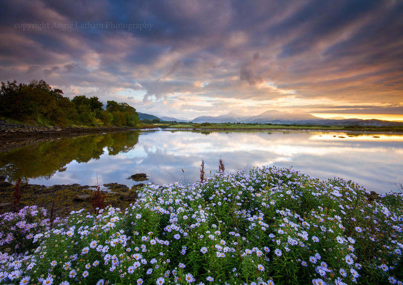 Afon Glaslyn Sunrise, North Wales - Celtic Wales