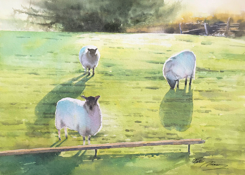 'Evening Stillness' - 'Feathers and Fur'