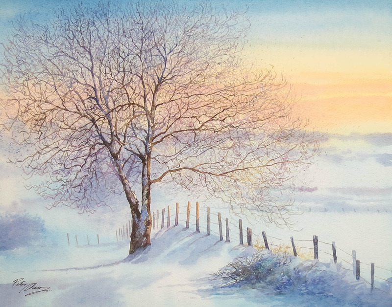'Winter Ash' - 'Seasons of the Land'