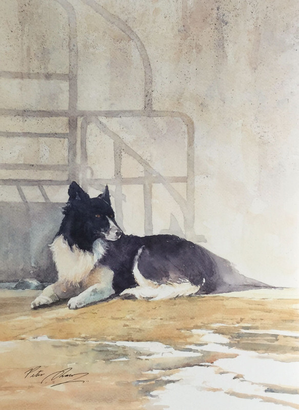 'The Colonel' - 'Feathers and Fur'