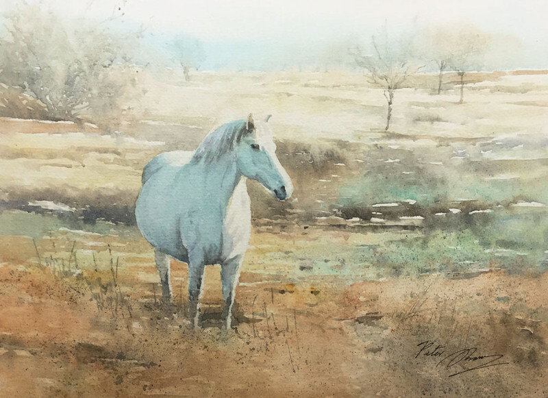 'Wind River' - 'Feathers and Fur'
