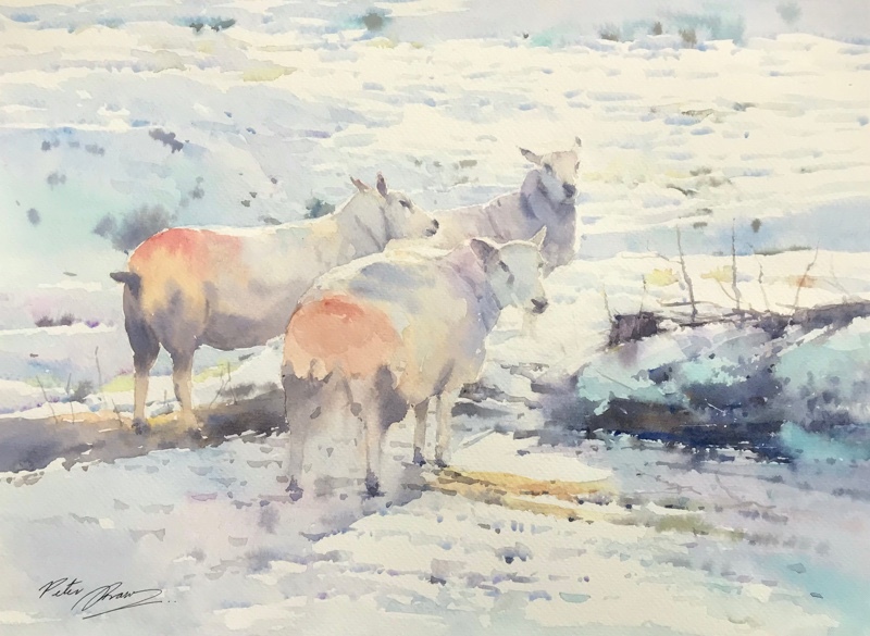 'Evening Glow' - Latest Work