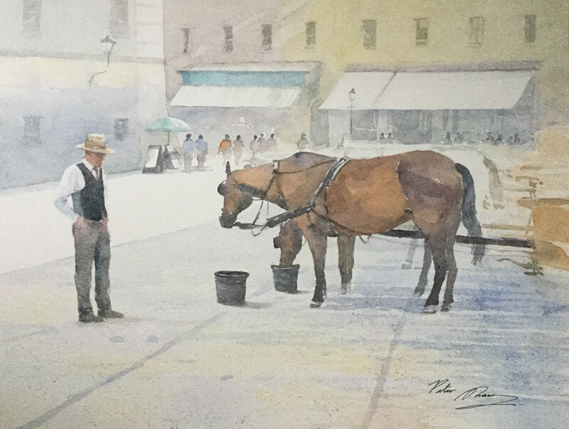 'Carriage Horses' - 'Feathers and Fur'