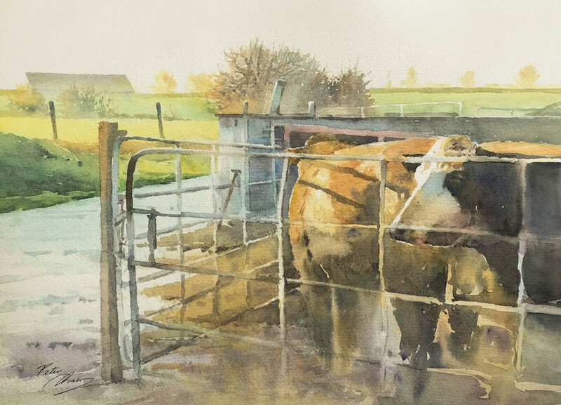 'Cattle at the Gates' - 'Feathers and Fur'