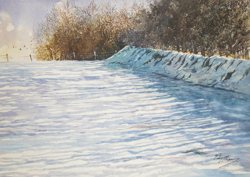 'Snow Field' - 'Seasons of the Land'