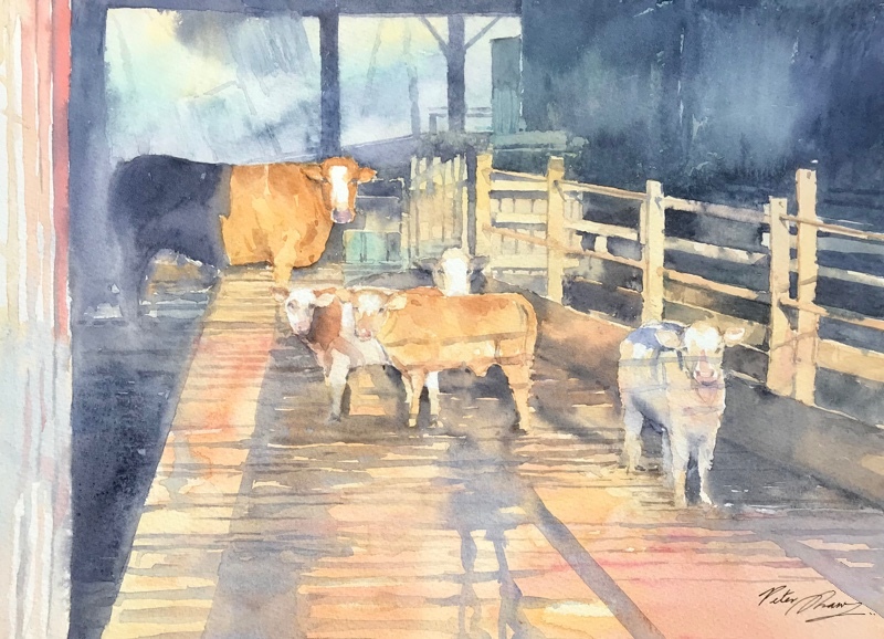 'Cattle House' - Latest Work