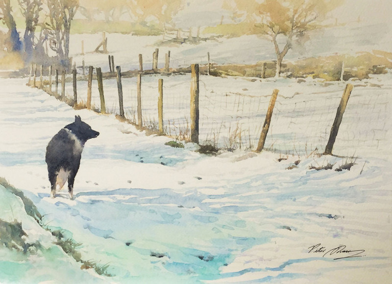'Pheasant Call!' - 'Feathers and Fur'
