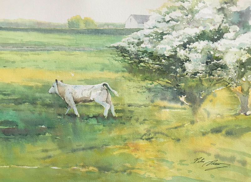 'Fresh Greens' - 'Feathers and Fur'