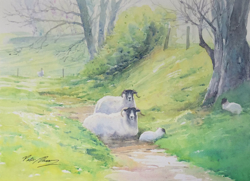 'Springtime in the Glens' - 'Feathers and Fur'