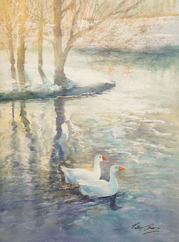 'Spring Fed' - 'Feathers and Fur'