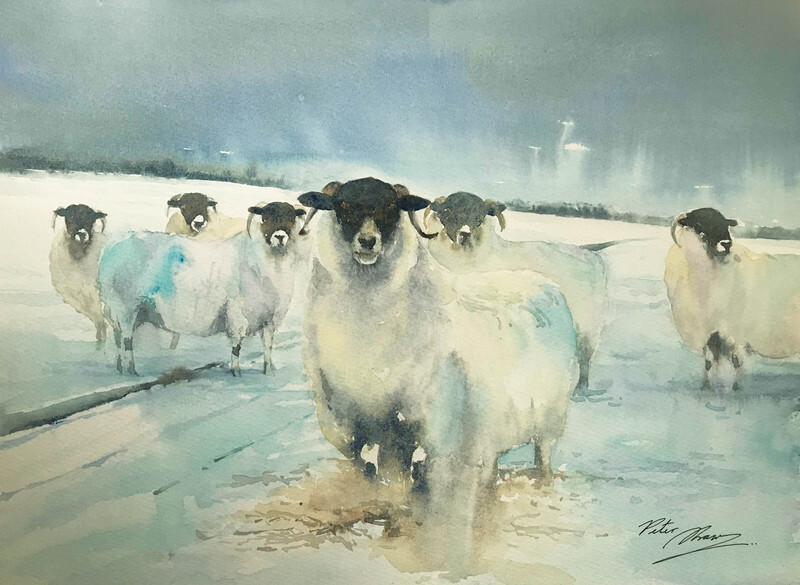 'Winter's Veterans' - 'Feathers and Fur'