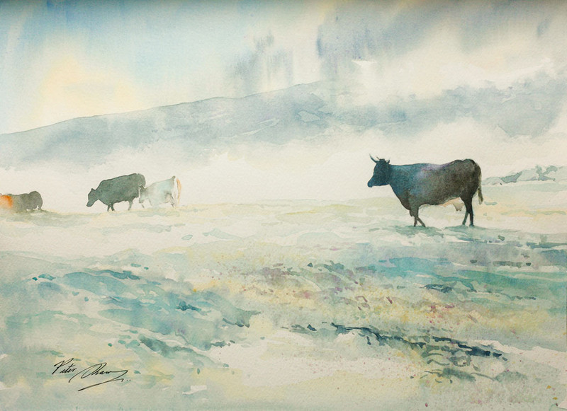'Cattle in the Mist' - 'Feathers and Fur'