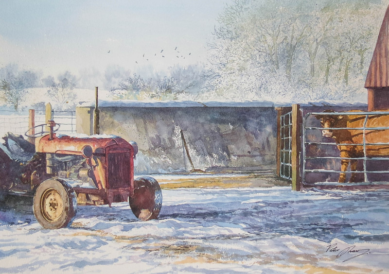 'Fergie' - 'Seasons of the Land'