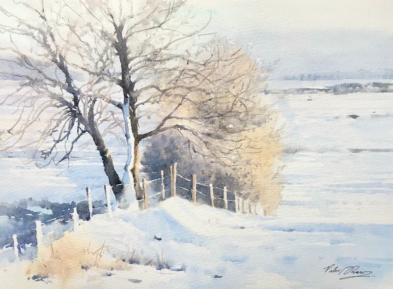 'Winter Ash' - Atmosphere and Light