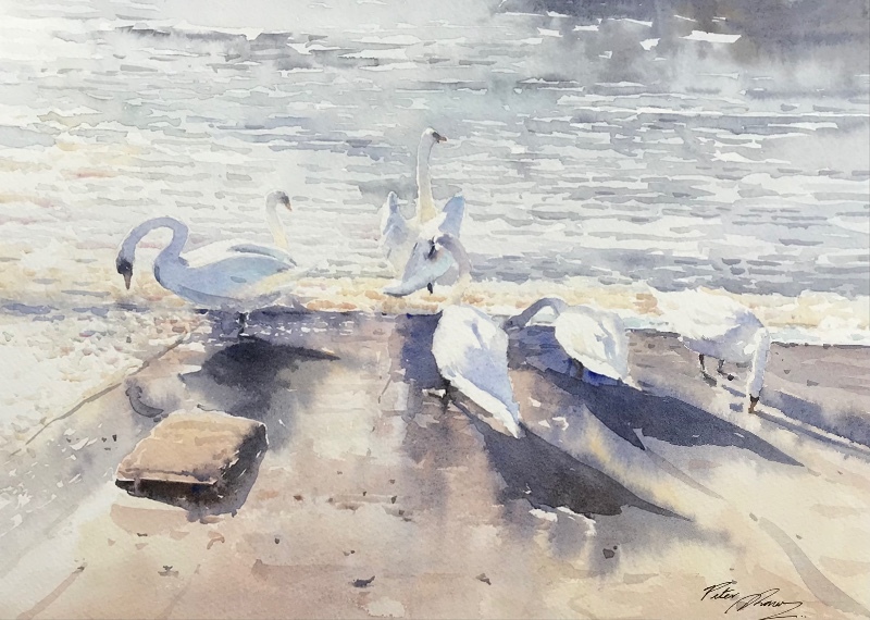 'Water Line' - Latest Work