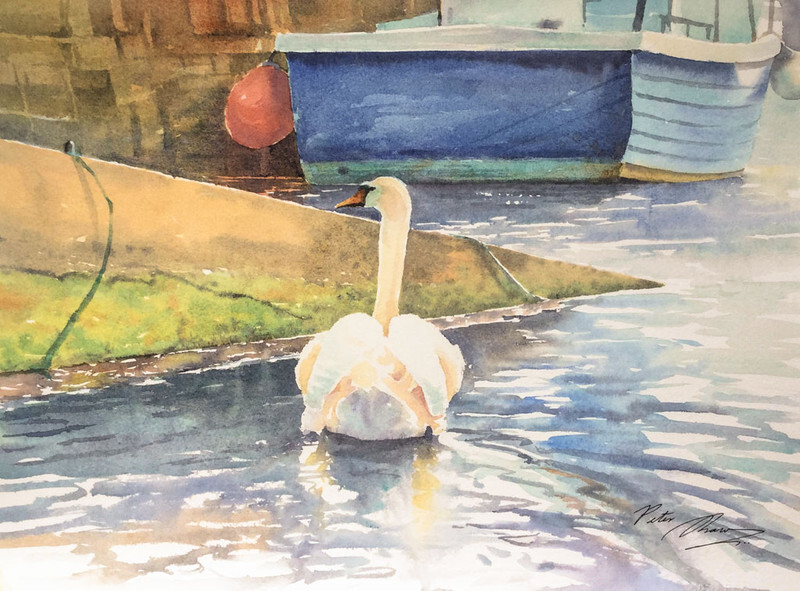 'The Cobb' - 'Feathers and Fur'
