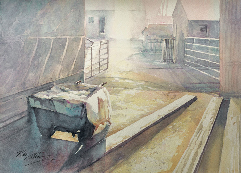 'The Cow Shed' - Atmosphere and Light