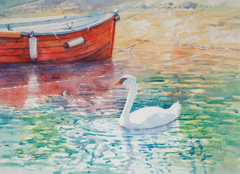 'Ripples' - 'Feathers and Fur'