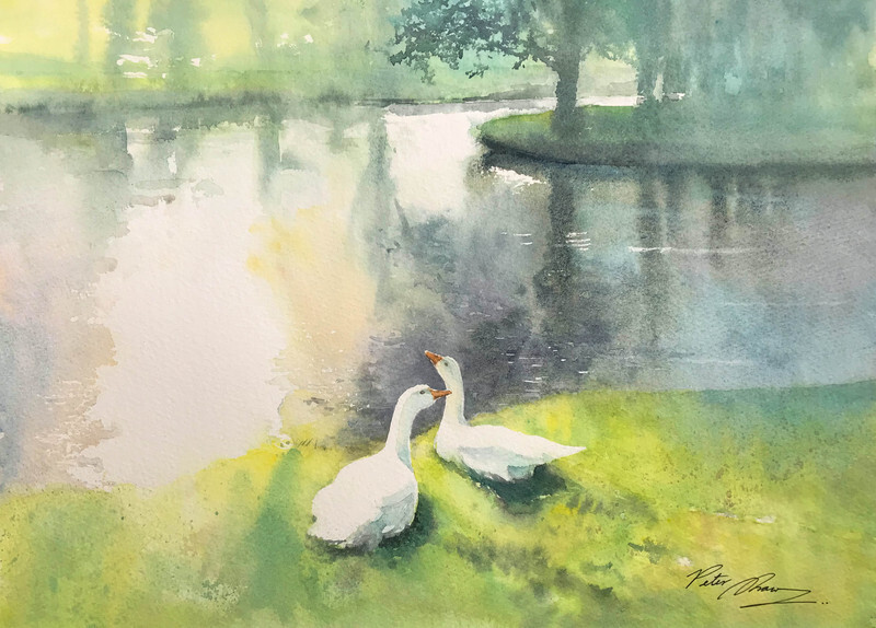 'Morning Dip' - 'Feathers and Fur'