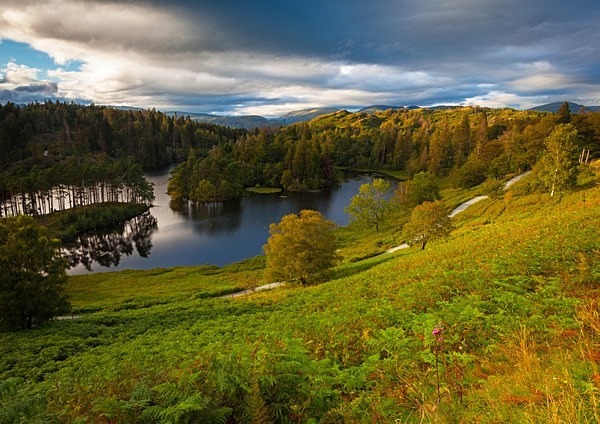 - UK Landscapes