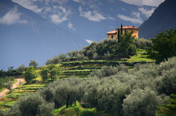 - Italy: Lakes, Verona and Tuscany