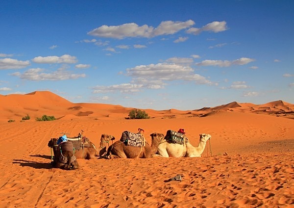  - Travel