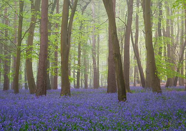  - UK Landscapes