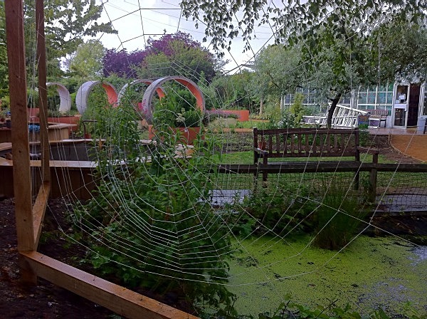 Cobwebs! - Stratford Butterfly Farm (in progress)