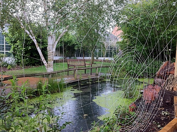 Habitat Pond - Stratford Butterfly Farm (in progress)