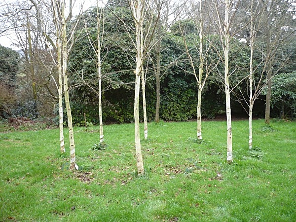  - Gardens