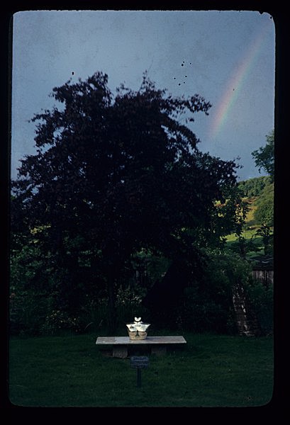  - Garden in Mind
