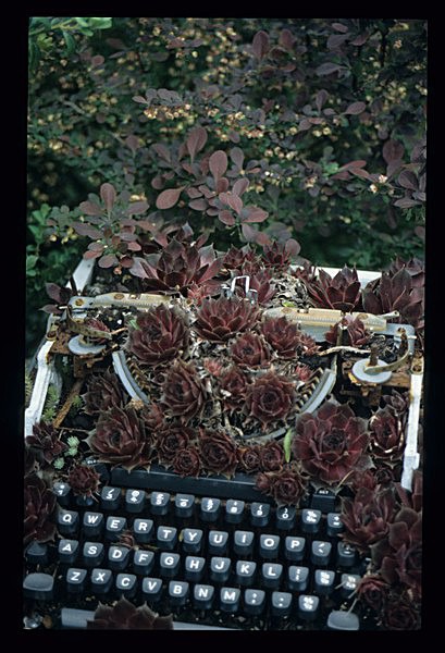  - Garden in Mind