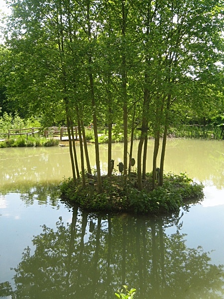  - Groombridge