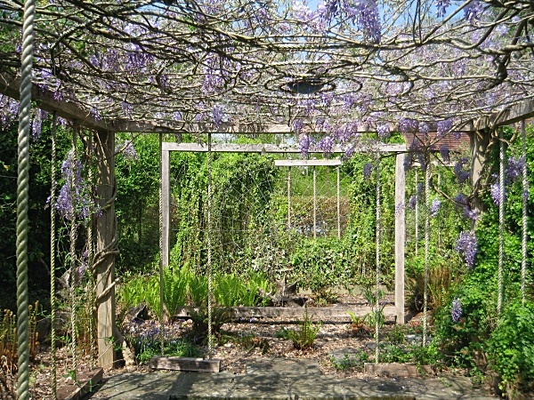 - Climbing Garden