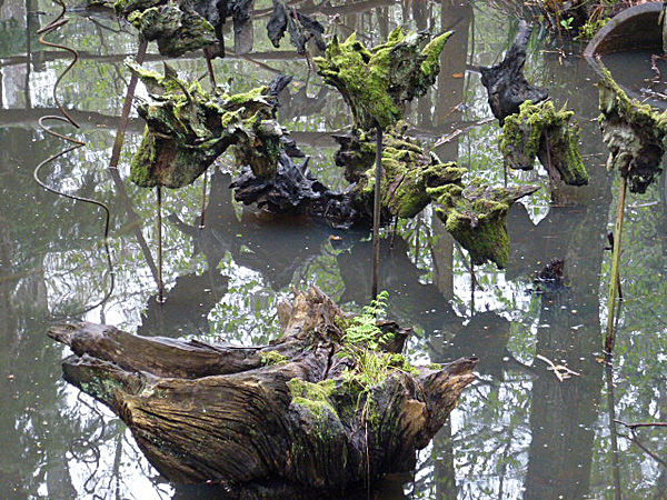  - Groombridge