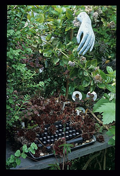  - Garden in Mind