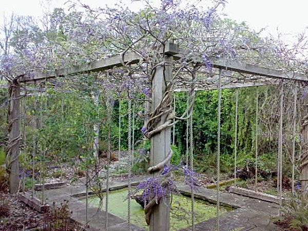  - Climbing Garden