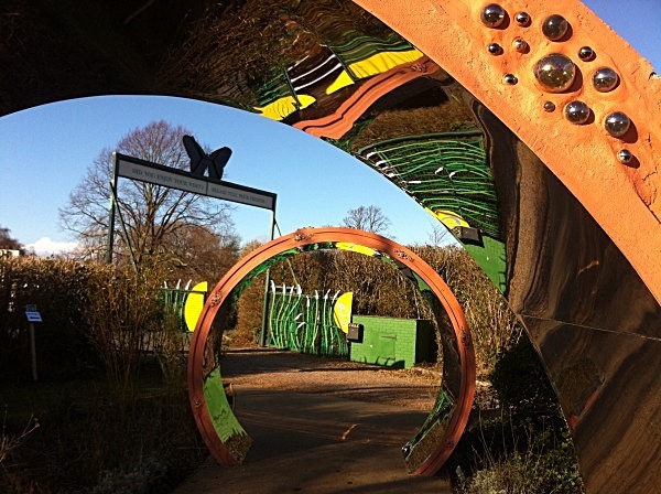 Moon Rings with stainless steel linings - Stratford Butterfly Farm (in progress)