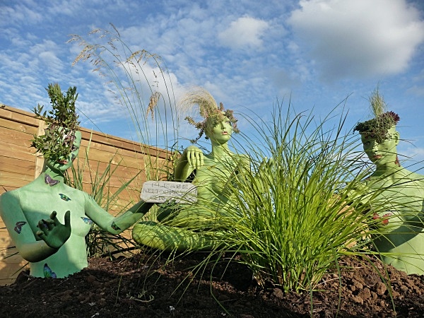  - Spangle Gall Gardens