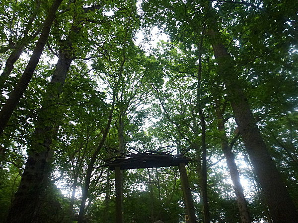  - Groombridge