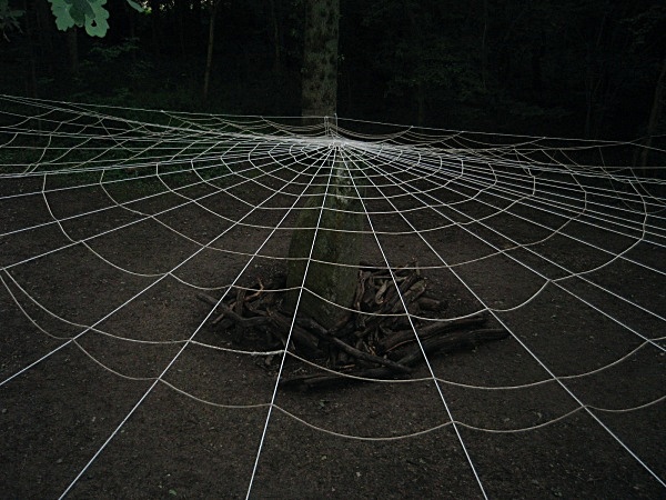  - Duir Wood