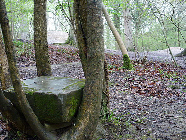  - Groombridge