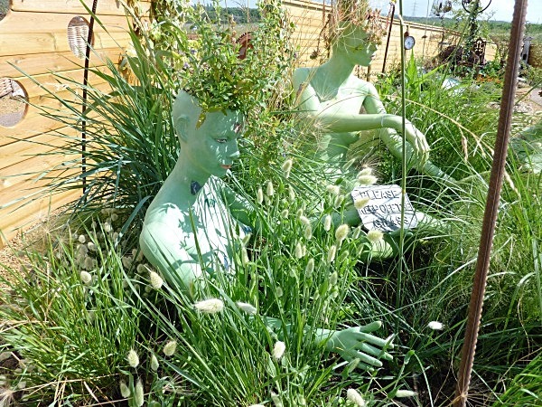  - Spangle Gall Gardens