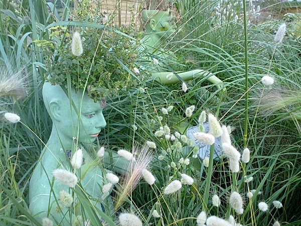  - Spangle Gall Gardens