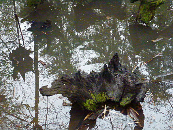  - Groombridge
