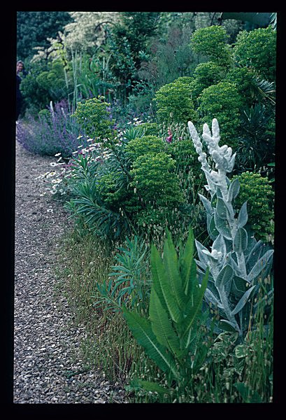  - Garden in Mind